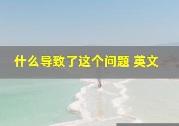 什么导致了这个问题 英文